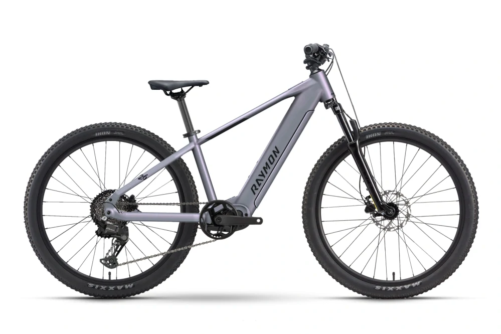 RAYMON ZORQ PURE 400 Wh OLI GREY 26"