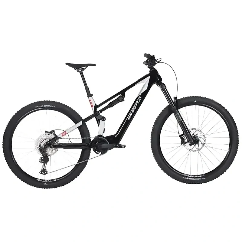WHISTLE AXR CA 5.7 800Wh BLK/SLV 29"