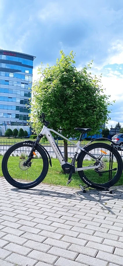 LECTRON E-BIKE ESCONDER PS SILVER 800 Wh 29"