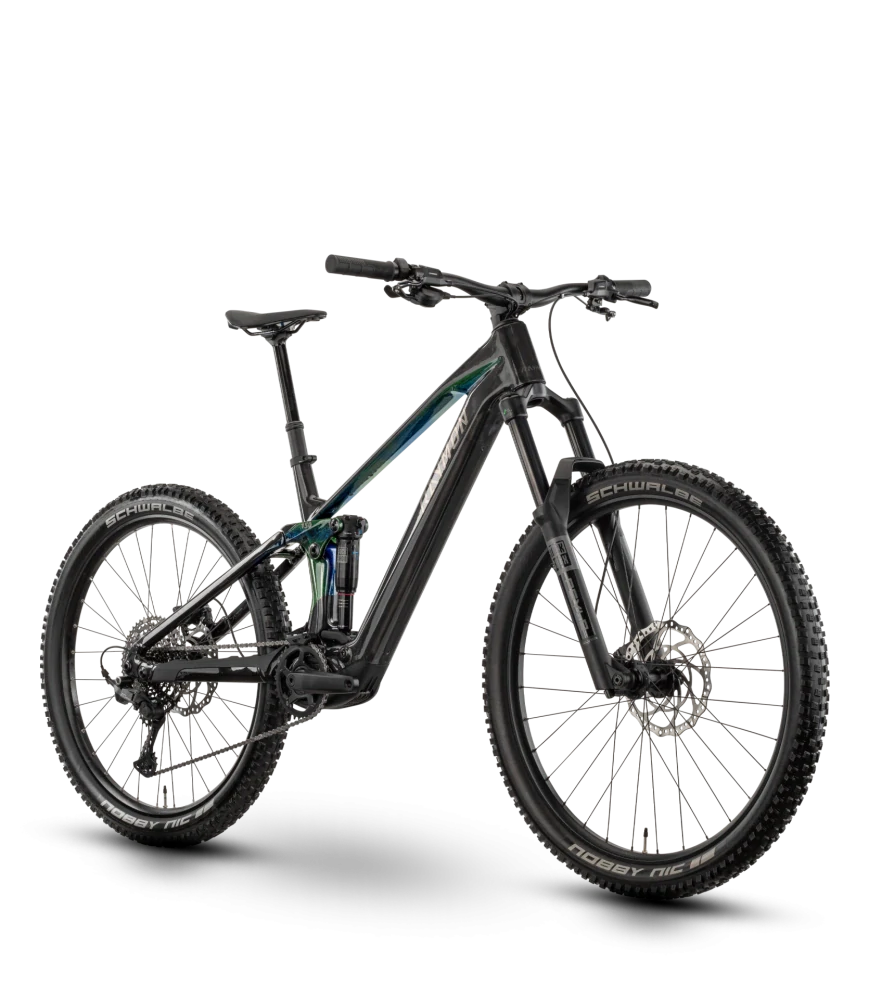 RAYMON TAROK COMP 700Wh AVINOX CARBON/NORTHLIGHT29"/27,5"