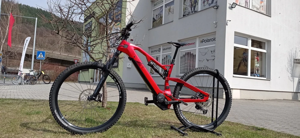 RAYMON E-AIRRAY 10.0 RED 500 Wh29"