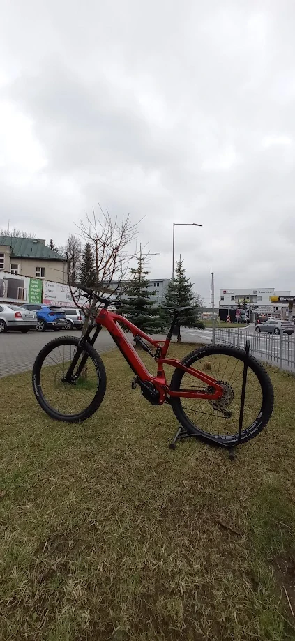 RAYMON E-AIRRAY 10.0 RED 29"