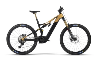 WHISTLE B-RUSH C 13.6 GOLD/BLK 29"