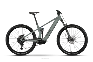 RAYMON RIDOK PRO 800 Wh PANASONIC GREY 29"