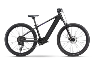 RAYMON ZORQ PURE 400 Wh OLI BLK/GALAXY 26"