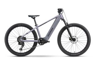 RAYMON ZORQ PURE 400 Wh OLI GREY 26"