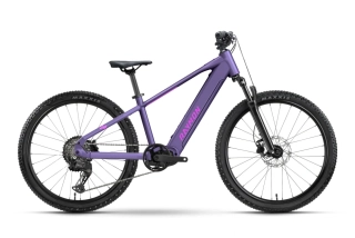 RAYMON ZORQ PURE OLI 400 Wh HYACINT 24"