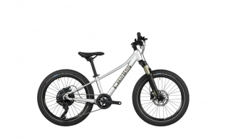 PELLS ROCKET AIR SILVER 20"